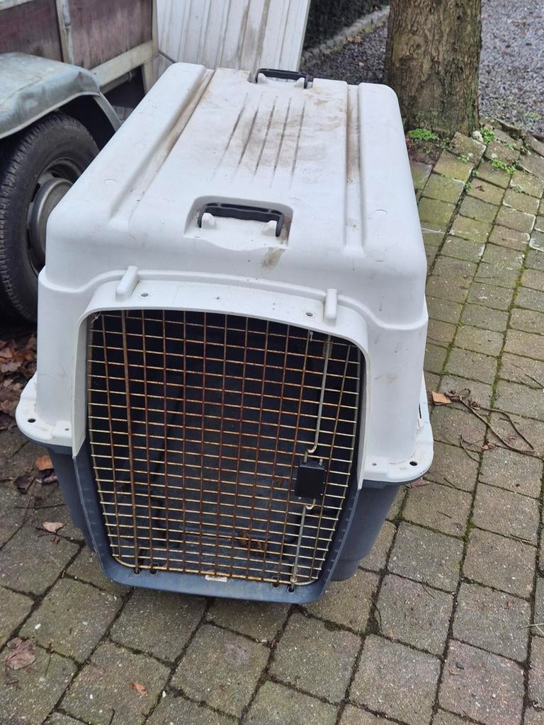 Transport bench voor honden of katten. Groot model, Ophalen