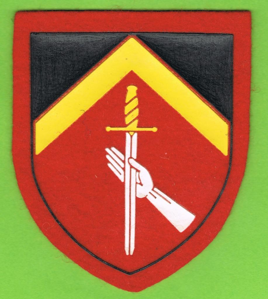 Belgian Army " Log Comdo"  ( LM29 ), Enlèvement ou Envoi, Armée de terre, Emblème ou Badge