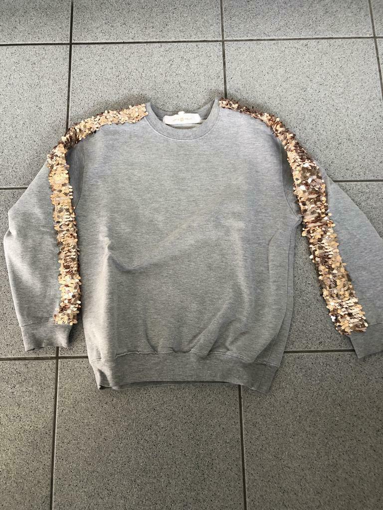 Lichtgrijze sweater van Lewis en Melly., Gebruikt, Meisje, Trui of Vest, Ophalen of Verzenden