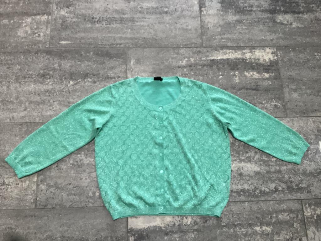 Gilet /Cardigan Giovane 44, Kleding | Dames, Maat 42/44 (L), Ophalen of Verzenden, Zo goed als nieuw, Giovane