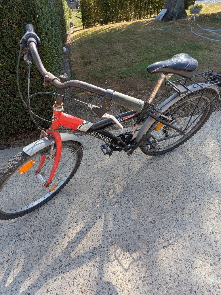 Esperia trendy, Fietsen en Brommers, Ophalen, Gebruikt, 26 inch of meer, Versnellingen