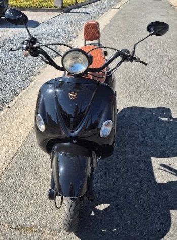NECO BORSOLINO, Vélos & Vélomoteurs, Scooters | Marques Autre, Neco, Classe B (45 km/h), Enlèvement, Utilisé