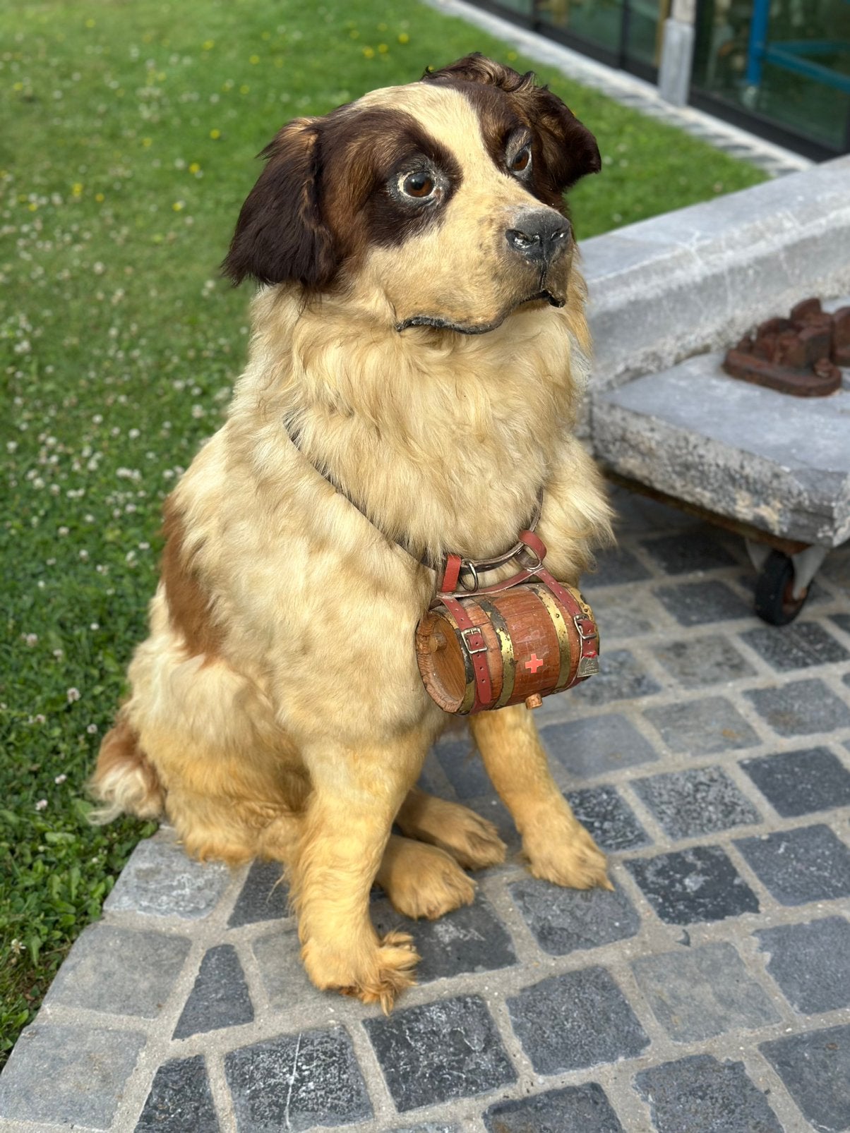 Zeer oude taxidermie hond, Ophalen