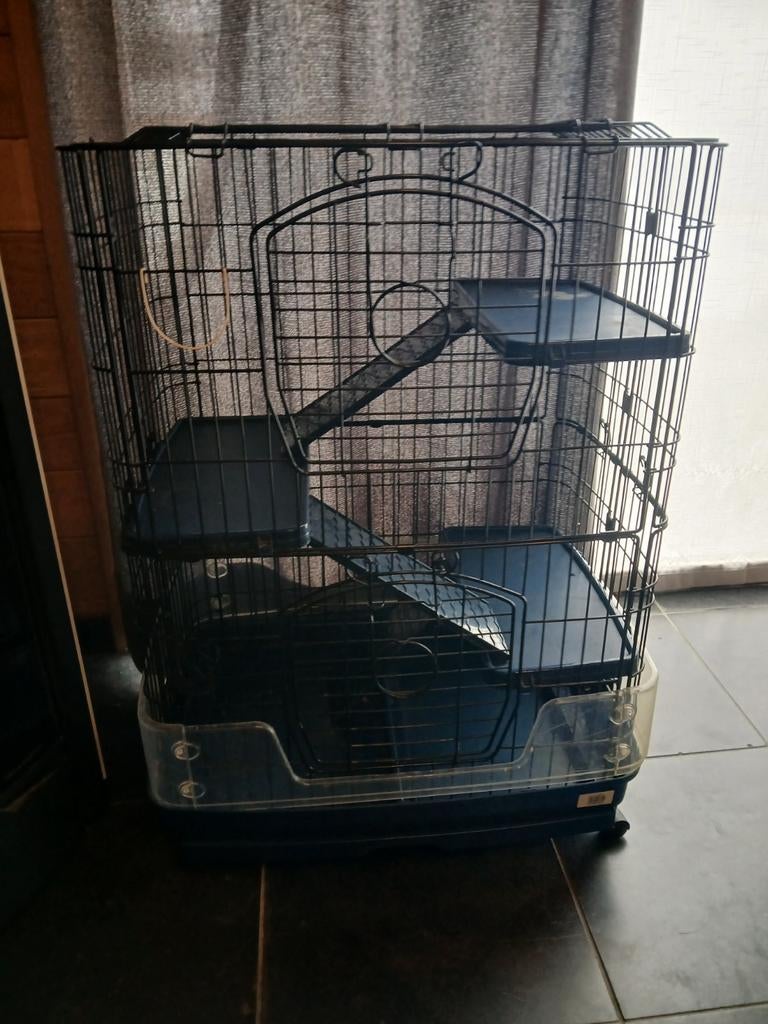 Chinchilla of konijnen kot, Dieren en Toebehoren, Ophalen