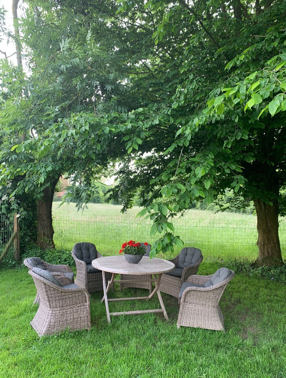 Tuin set.  Hout  teak & wicker, Ophalen, Gebruikt, 6 zitplaatsen, Teakhout