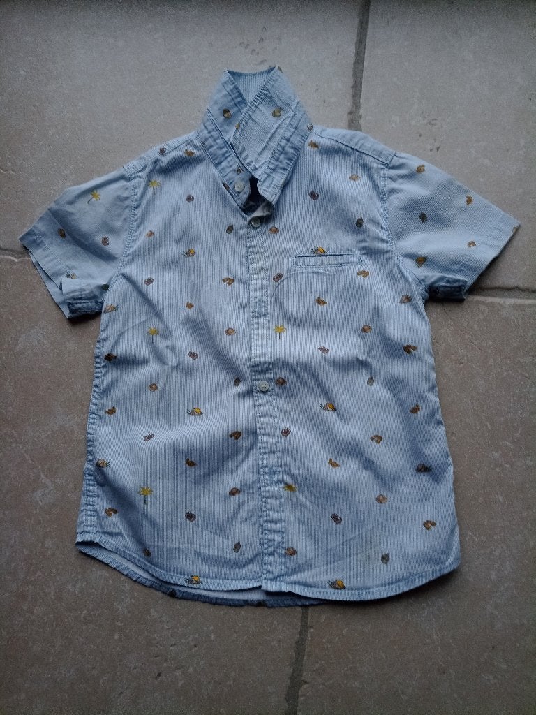 Hemd jongen maat 98, Kinderen en Baby's, Kinderkleding | Maat 98, Ophalen, Jongen