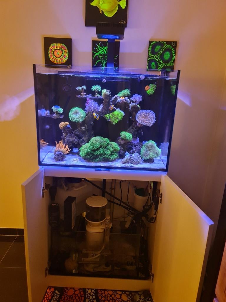 Zeeaquarium leeg met alle techniek, Enlèvement