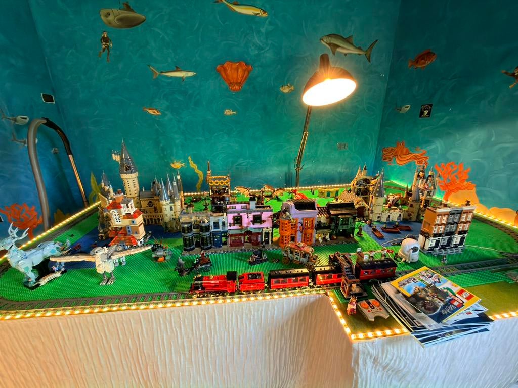 Grote LEGO Harry Potter verzameling - Hogwarts,Diagon Alley, Ophalen, Lego, Harry Potter, Complete set