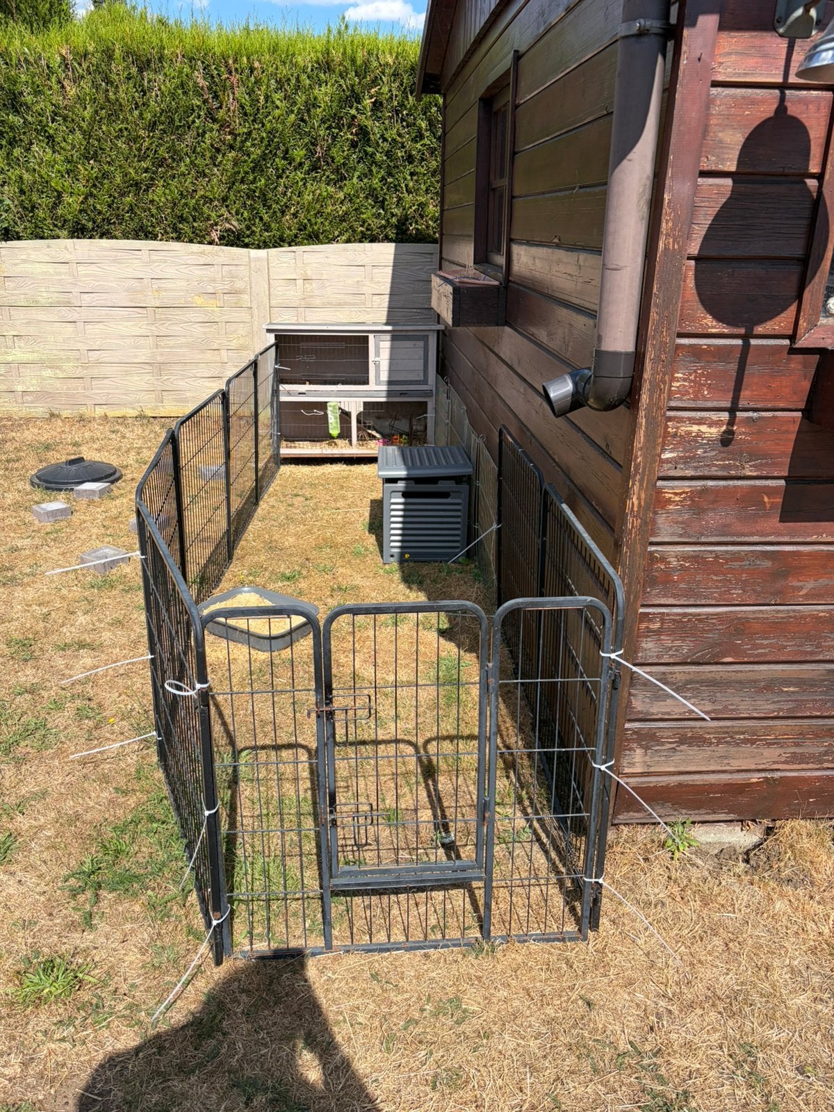 Ren te koop, Dieren en Toebehoren, Ophalen, Zo goed als nieuw