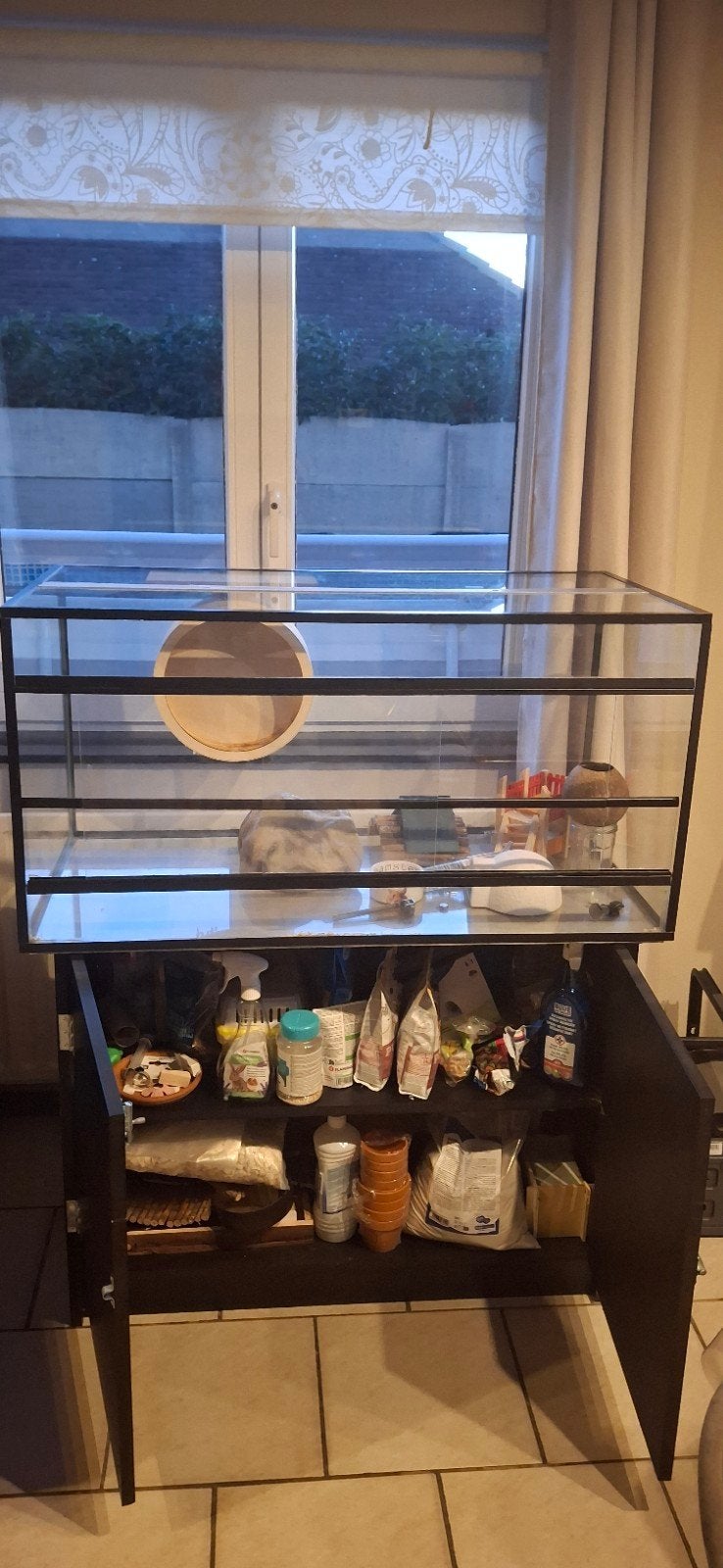 hamster terrarium 1m breed (goud hamster), Niche, Moins de 60 cm, 75 à 110 cm, Comme neuf