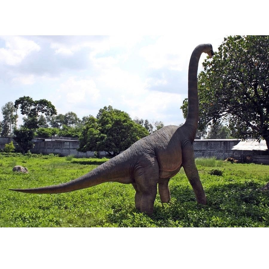Brachiosaurus – Dinosaurus beeld Hoogte 472 cm, Ophalen, Nieuw