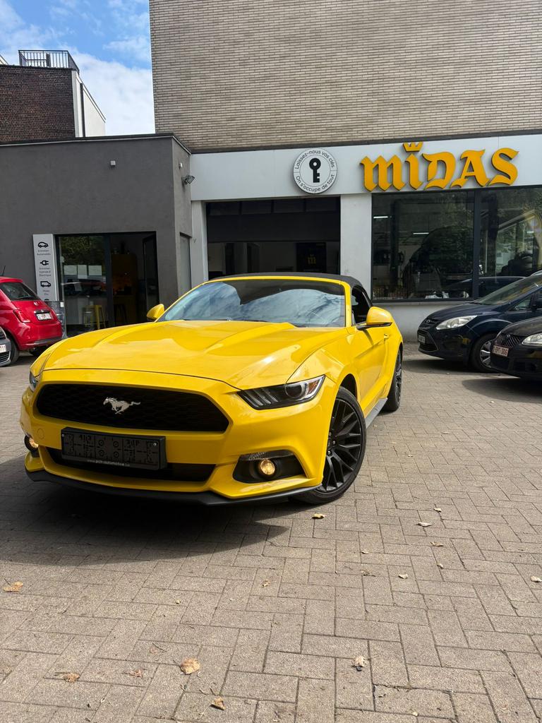 Ford Mustang Convertible 2.3 EcoBoost – 316 ch – Boîte auto, Autos, Cuir, Achat, Euro 6, Entreprise