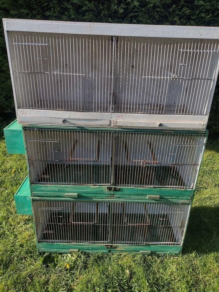 3 kweekkooien voor vogels, Ophalen, Gebruikt, Hout, Broedkooi of Kweekkooi