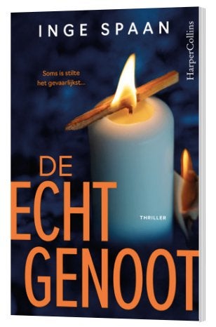 Thriller 'De echtgenoot' - Inge Spaan, Livres, Thrillers, Comme neuf, Envoi