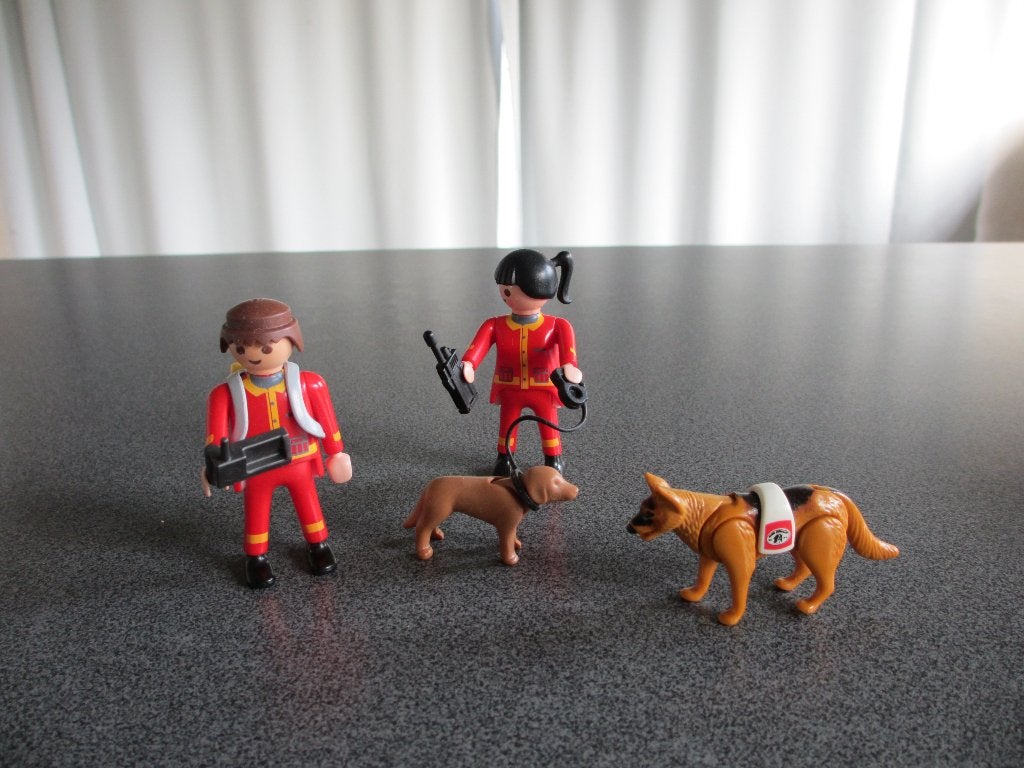 playmobil 4227, Kinderen en Baby's, Speelgoed | Playmobil, Ophalen, Zo goed als nieuw, Complete set, Figuren