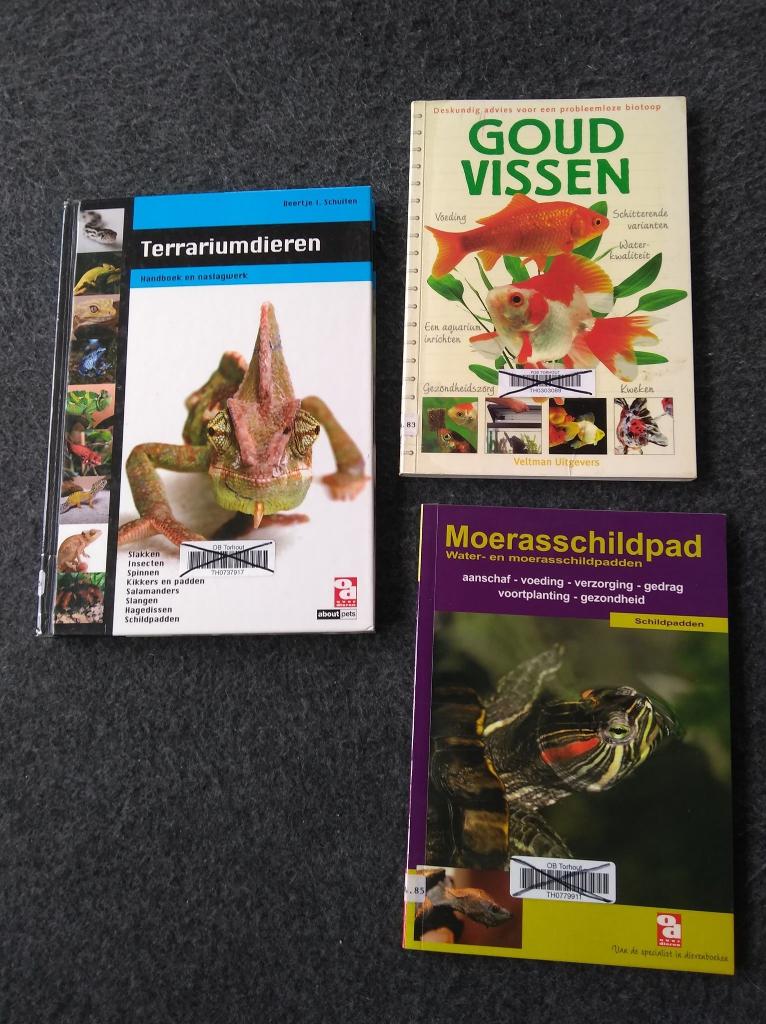 terrariumdieren moerasschildpad goudvissen, Ophalen of Verzenden
