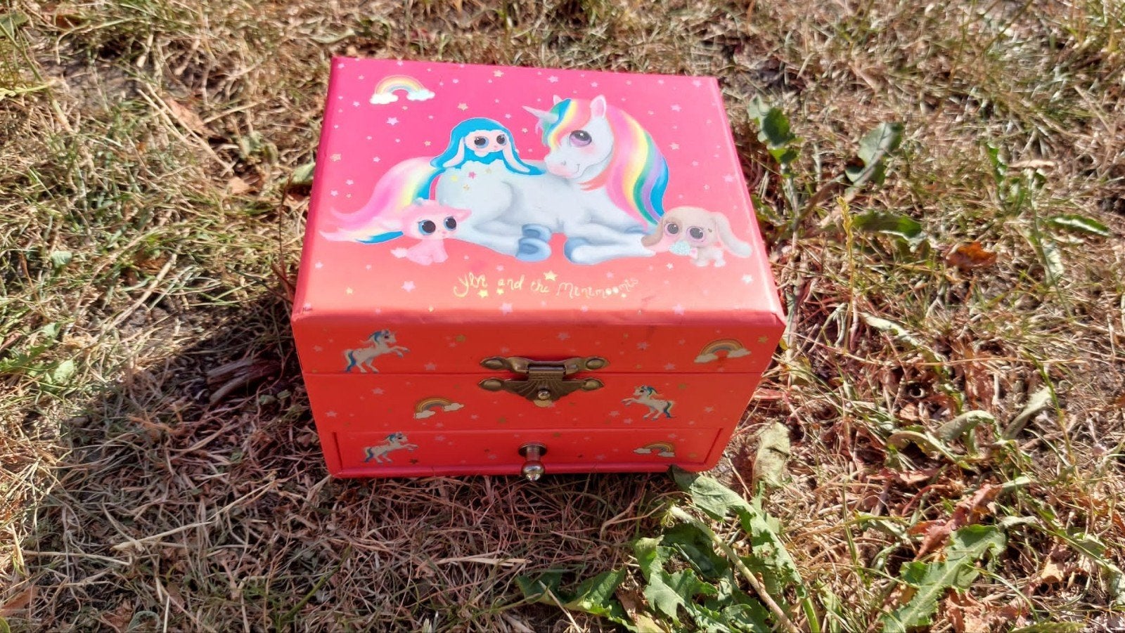 Juwelenkistje unicorn, Ophalen, Gebruikt