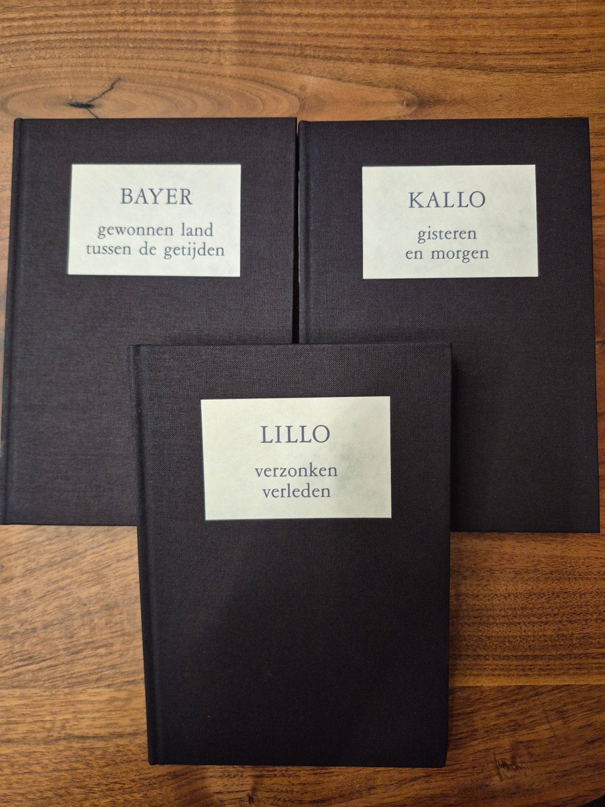 1965-1990 Bayer Antwerpen Lillo Kallo, Boeken, Ophalen of Verzenden, Gelezen, Rosine de dijn