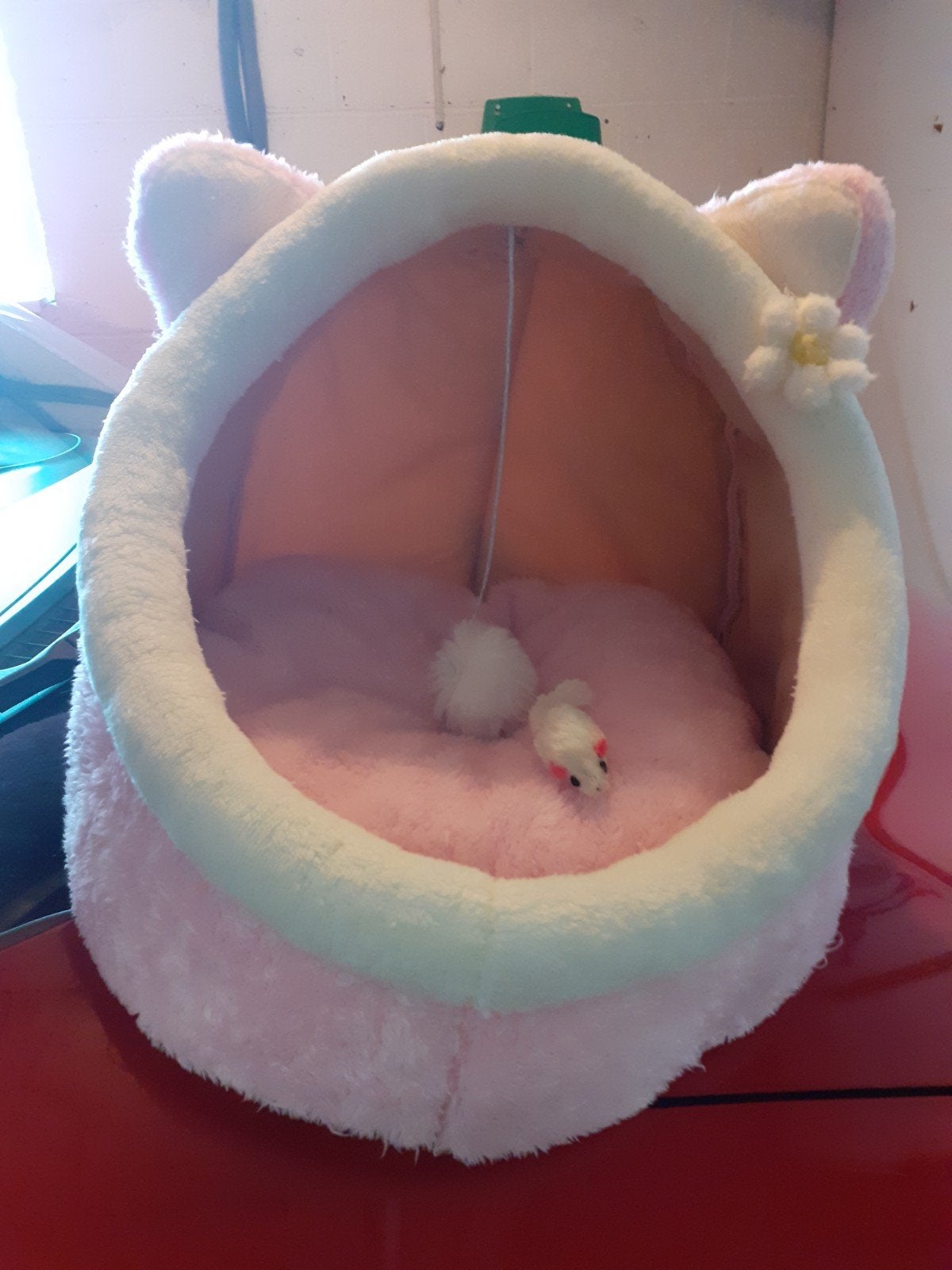 Igloo pour chat, Ophalen
