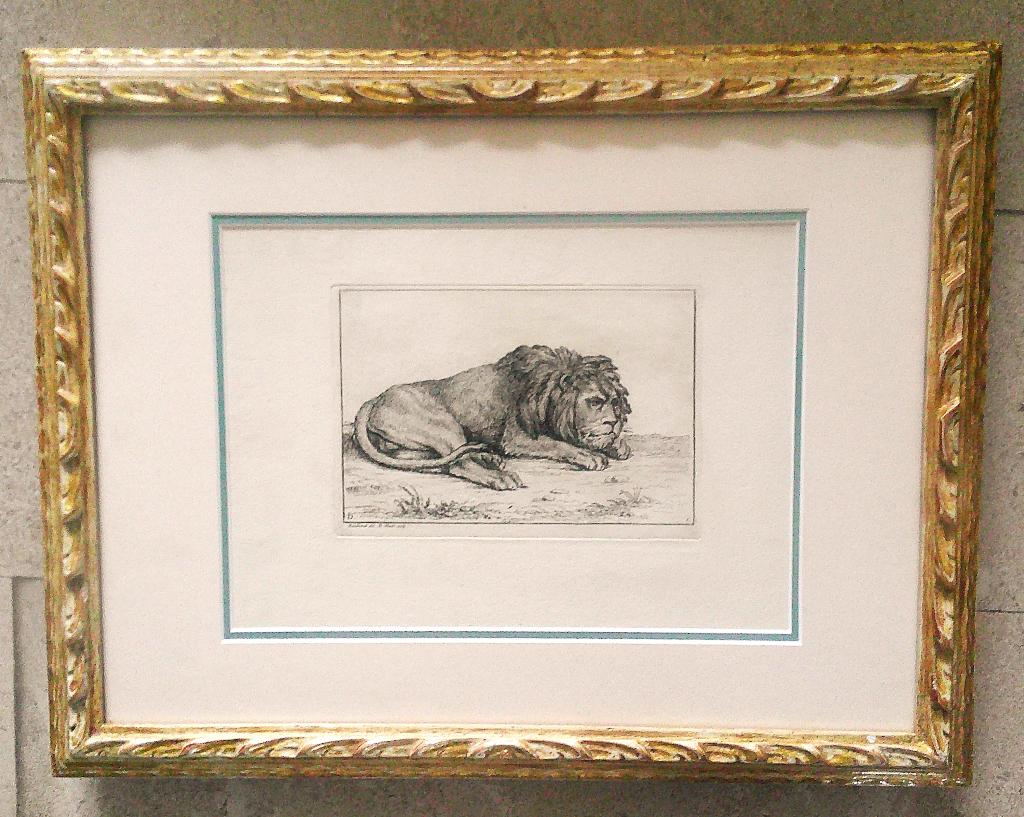 Receuïl de Lions - gravés B.Picart 1729 - w.v Rembrandt 18x, Antiek en Kunst, Kunst | Etsen en Gravures, 22 cm, Ets, Flora en Fauna