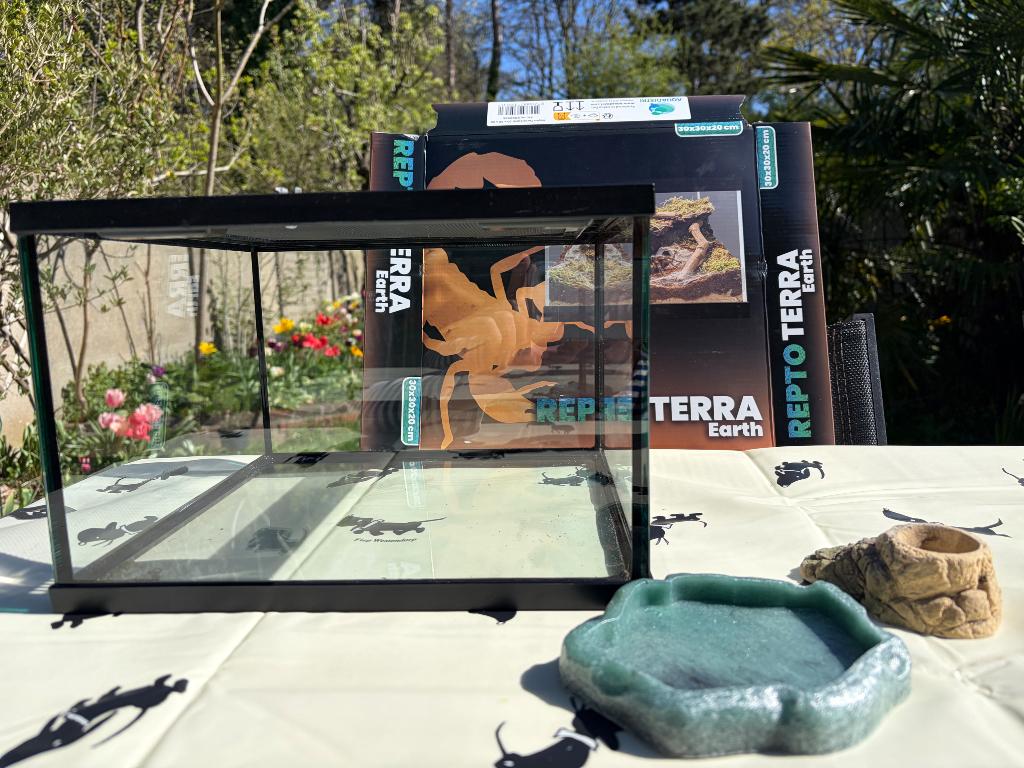 Terrarium - Reptoterra, Dieren en Toebehoren