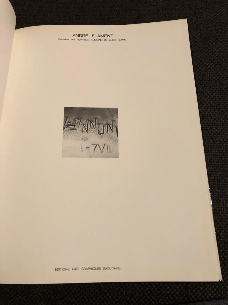 Kunstboek Amilcar Zannoni - Andre Flament, Gelezen, Andre Flament, Ophalen of Verzenden, Overige onderwerpen