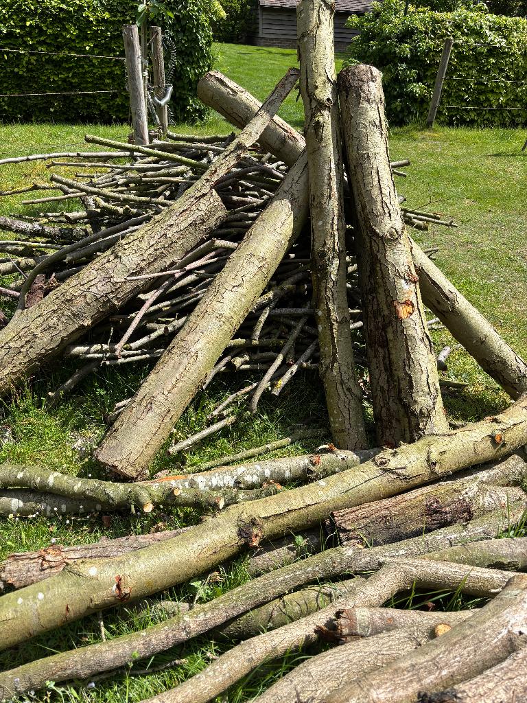 Brandhout : snoeihout van eiken en fruitbomen, Ophalen, Eikenhout, Takken