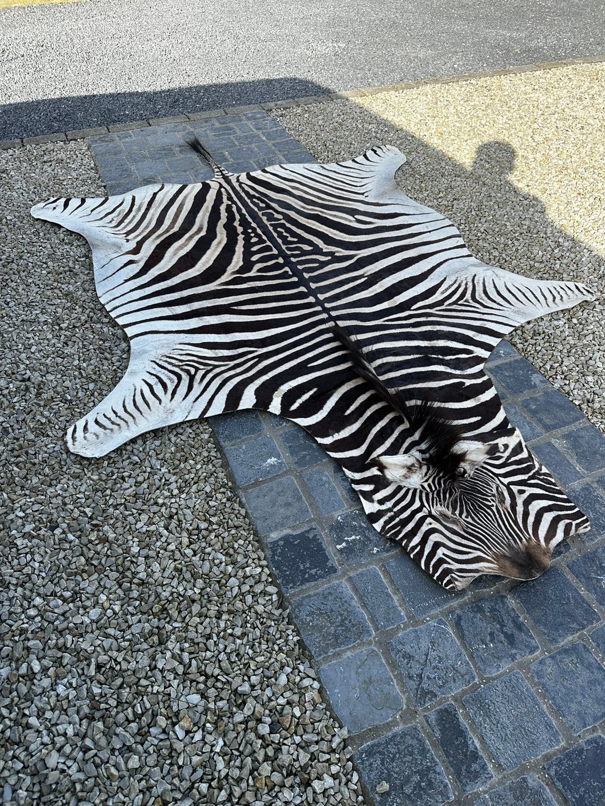Taxidermie zebra vel, Ophalen
