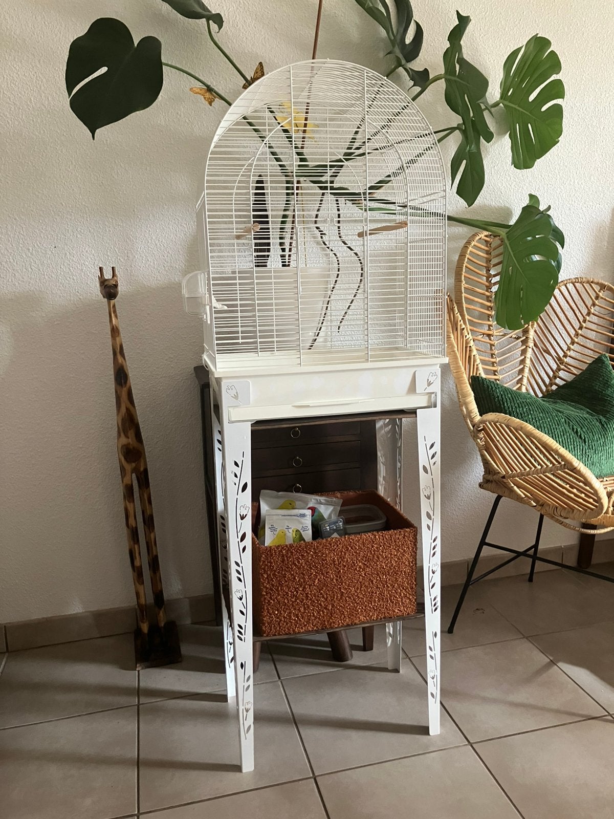 Cage oiseaux, Enlèvement, Utilisé, Métal, Cage à oiseaux