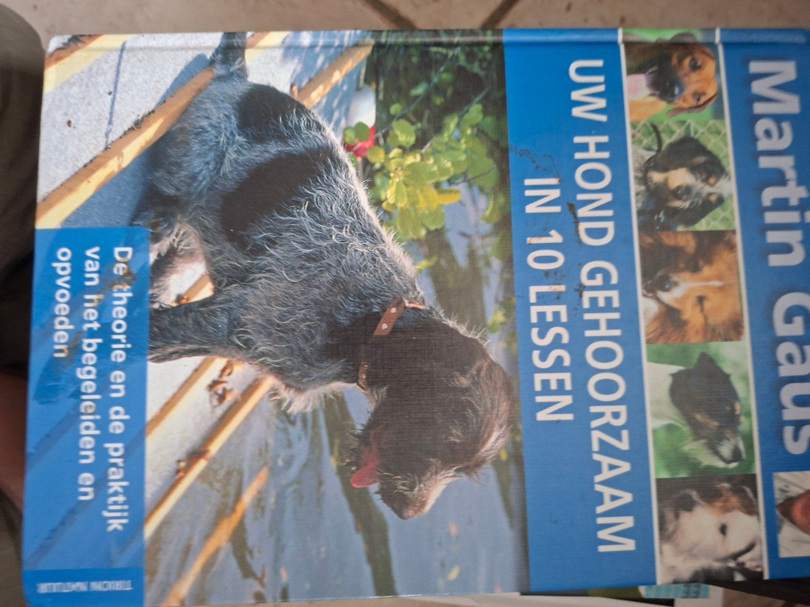 Martin Gaus - Uw hond gehoorzaam in 10 lessen, Enlèvement ou Envoi, Martin Gaus