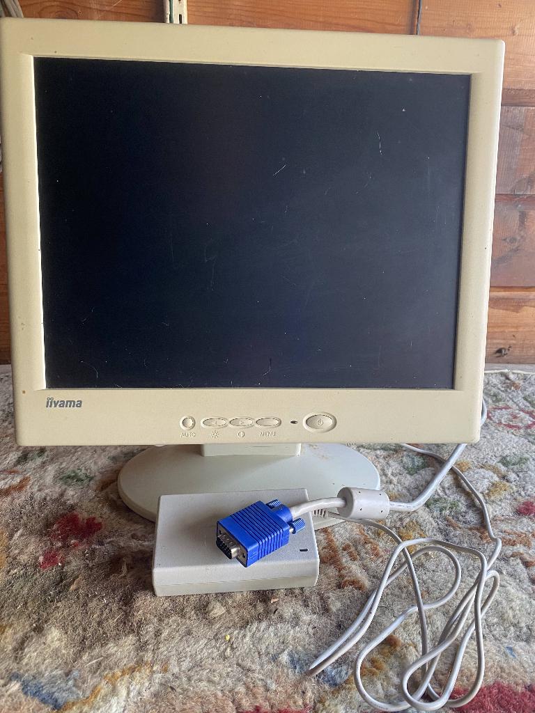 Scherm, Ophalen, Gebruikt, VGA, Iiyama