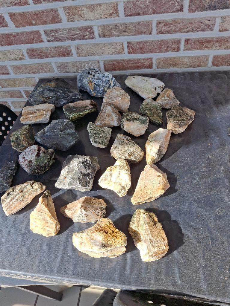 vijver of aquarium breuksteen, Ophalen, Gebruikt, Plant(en), Steen of Hout, Overige merken