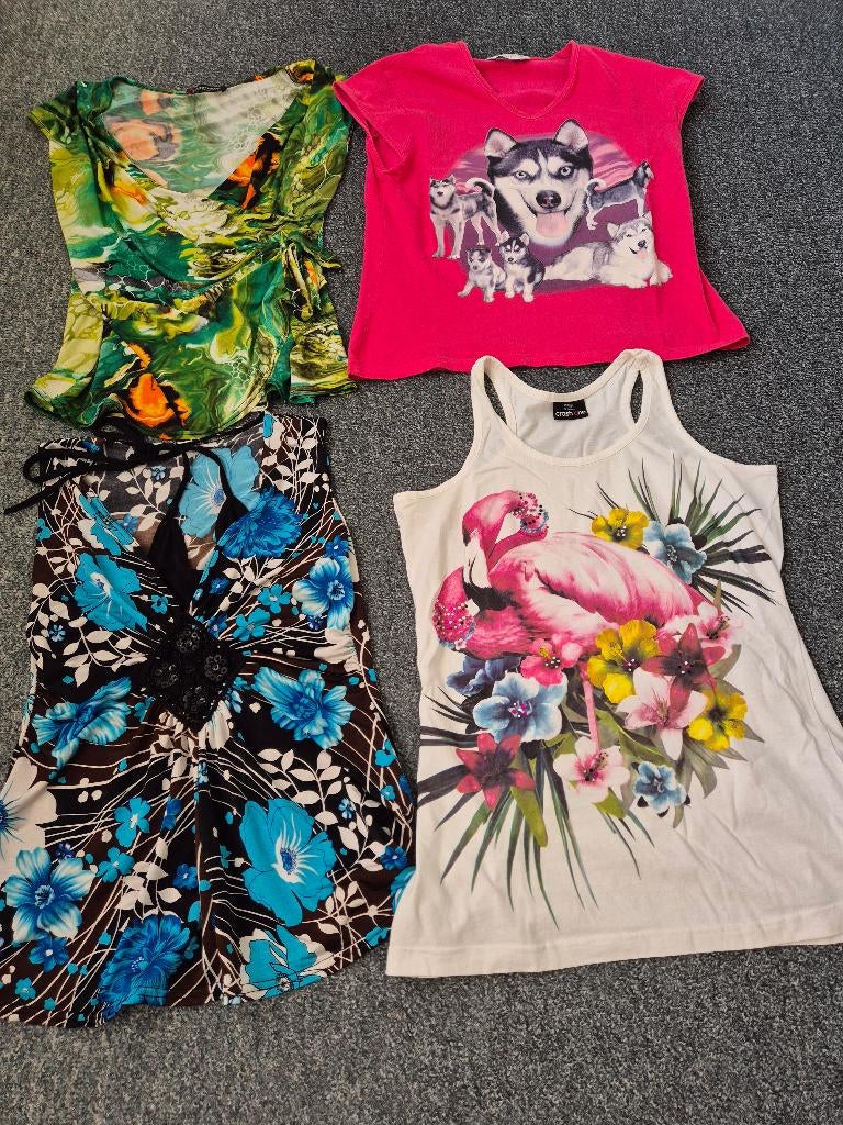 dames zomer tshirts maat m, Vêtements | Femmes, T-shirts, Enlèvement ou Envoi, Comme neuf, Taille 38/40 (M), Autres couleurs