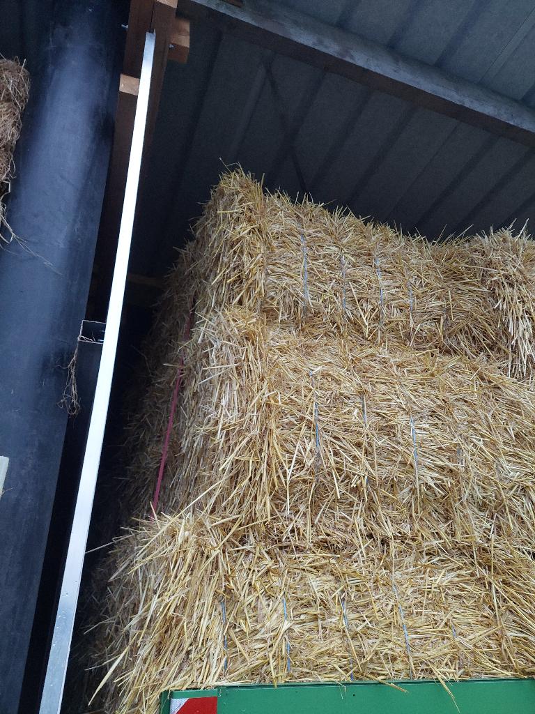 voordroog x stro geleverd, Dieren en Toebehoren, Ophalen, Nieuw