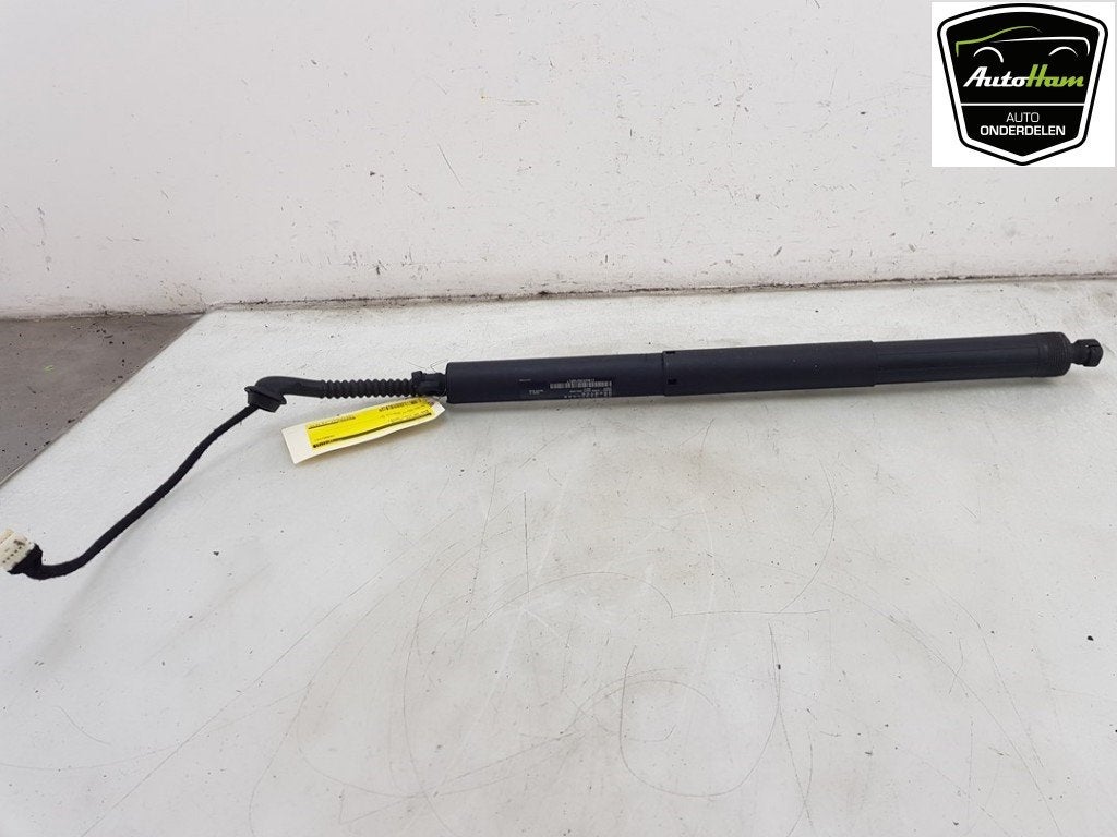 MOTEUR DE HAYON BMW X5 (F15) (01-2013/07-2018), Utilisé, BMW, Haillon arrière