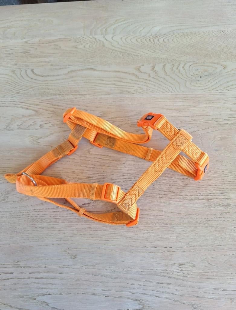 Tuigje hond, Ophalen of Verzenden, Gebruikt