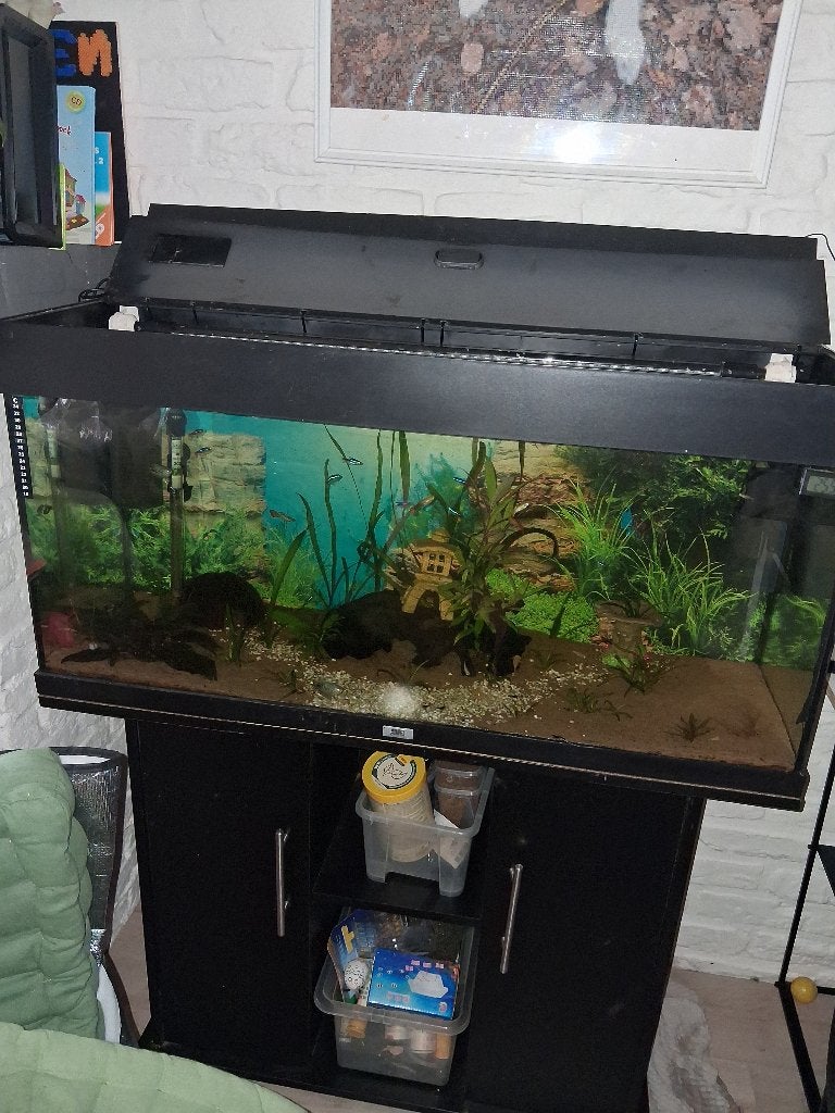 Aquarium  juwel, Dieren en Toebehoren, Ophalen, Gebruikt