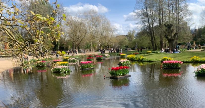 Tirage photo de tulipes d'Amsterdam A3 — Atelier Annik, Enlèvement ou Envoi