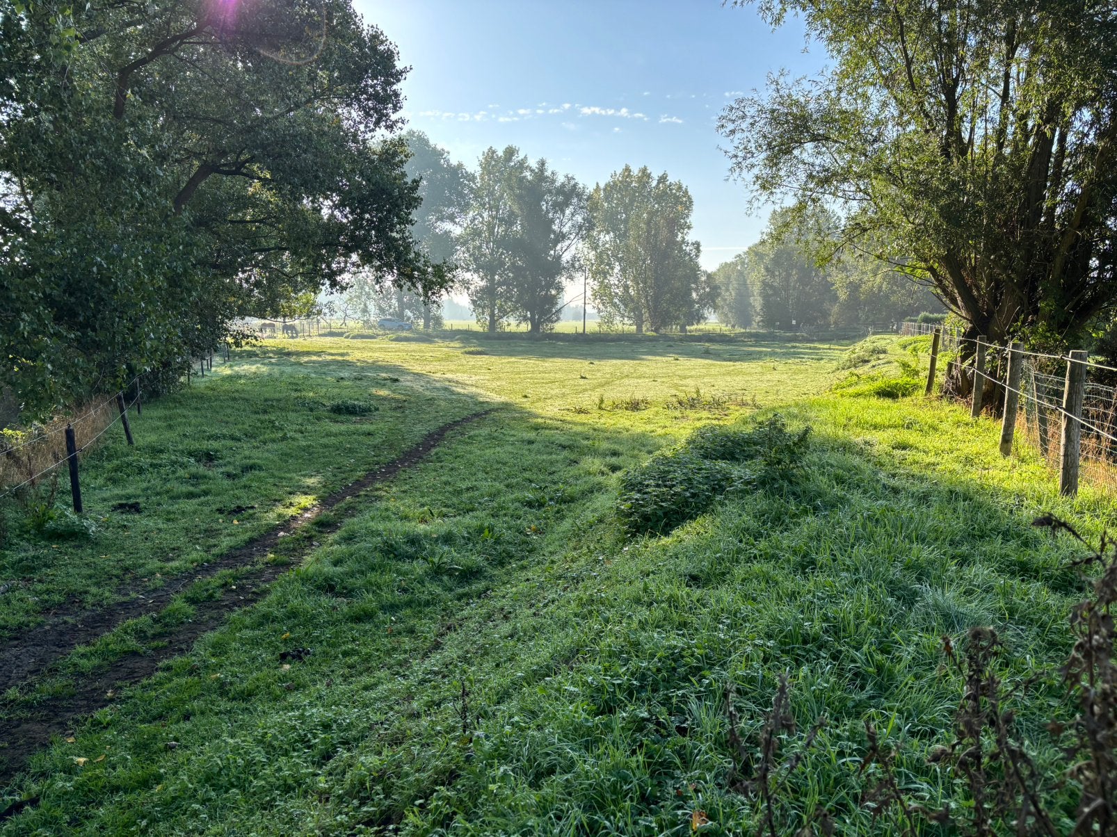 Weide te koop, Dieren en Toebehoren, Weidegang