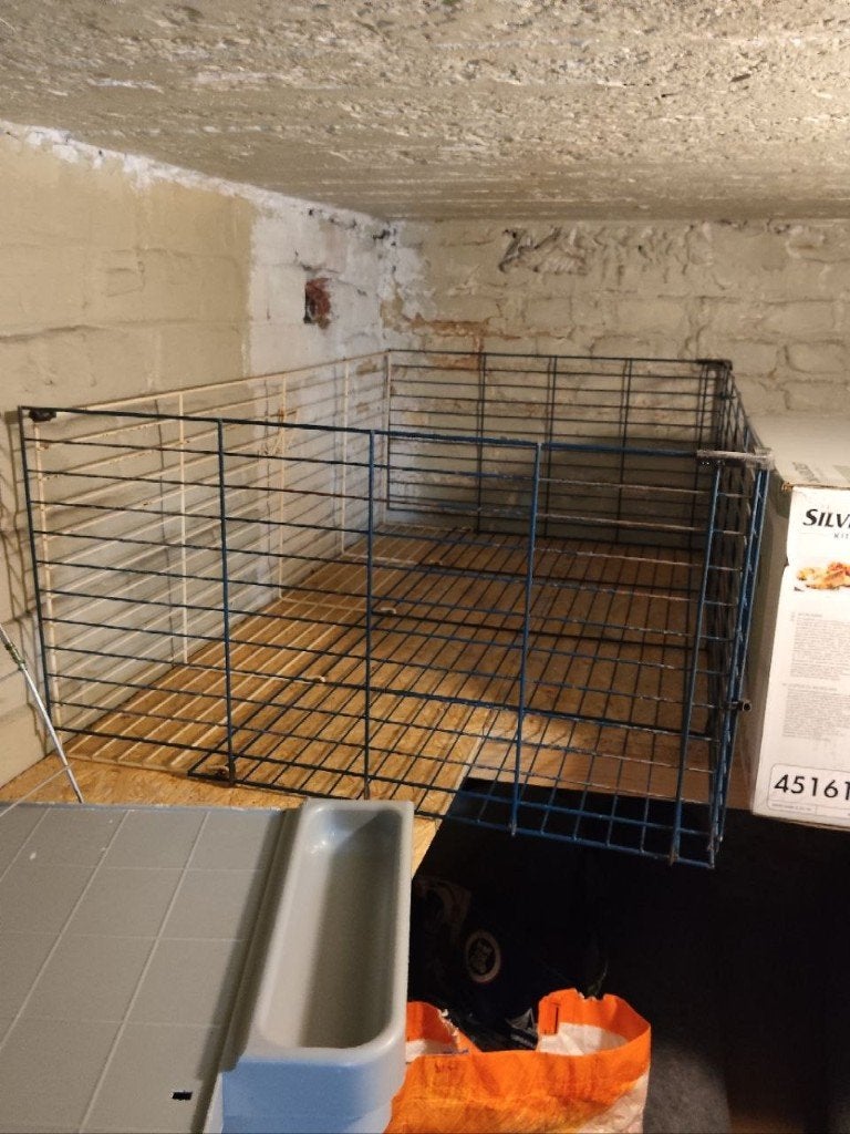 kooi voor een konijn of cavia, Kooi, Gebruikt, Minder dan 75 cm, Konijn