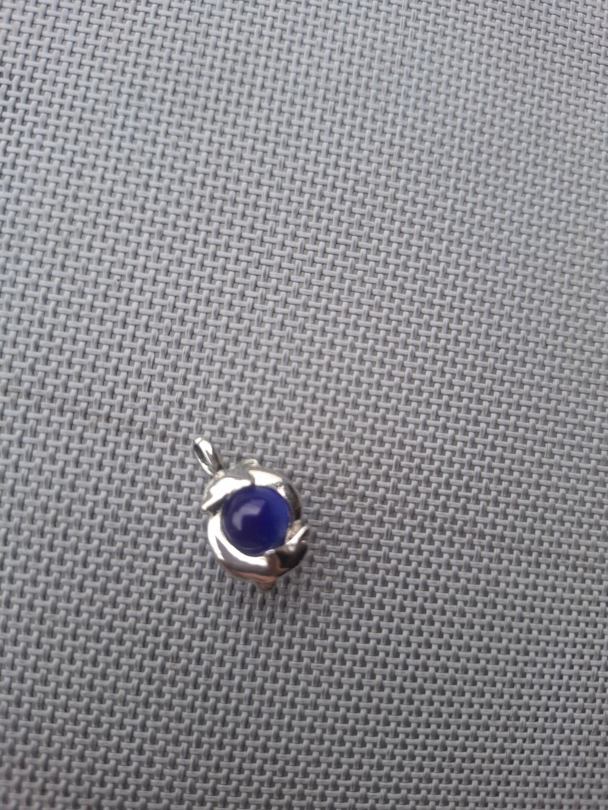 Hangertje met dolfijn, Ophalen, Blauw, Zilver