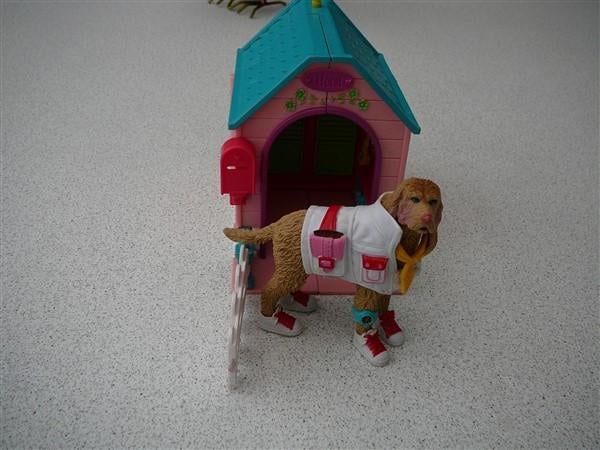 Mooi hondenhuis met mooie hond, Ophalen, Gebruikt, Meisje