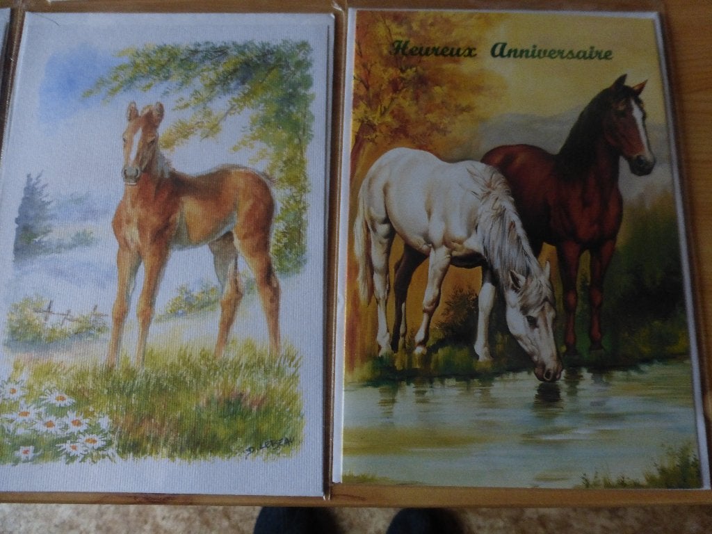 NieuweHappy Birthday"Notitieboekkaarten met paardenbeeltenis, Ophalen of Verzenden, Paard
