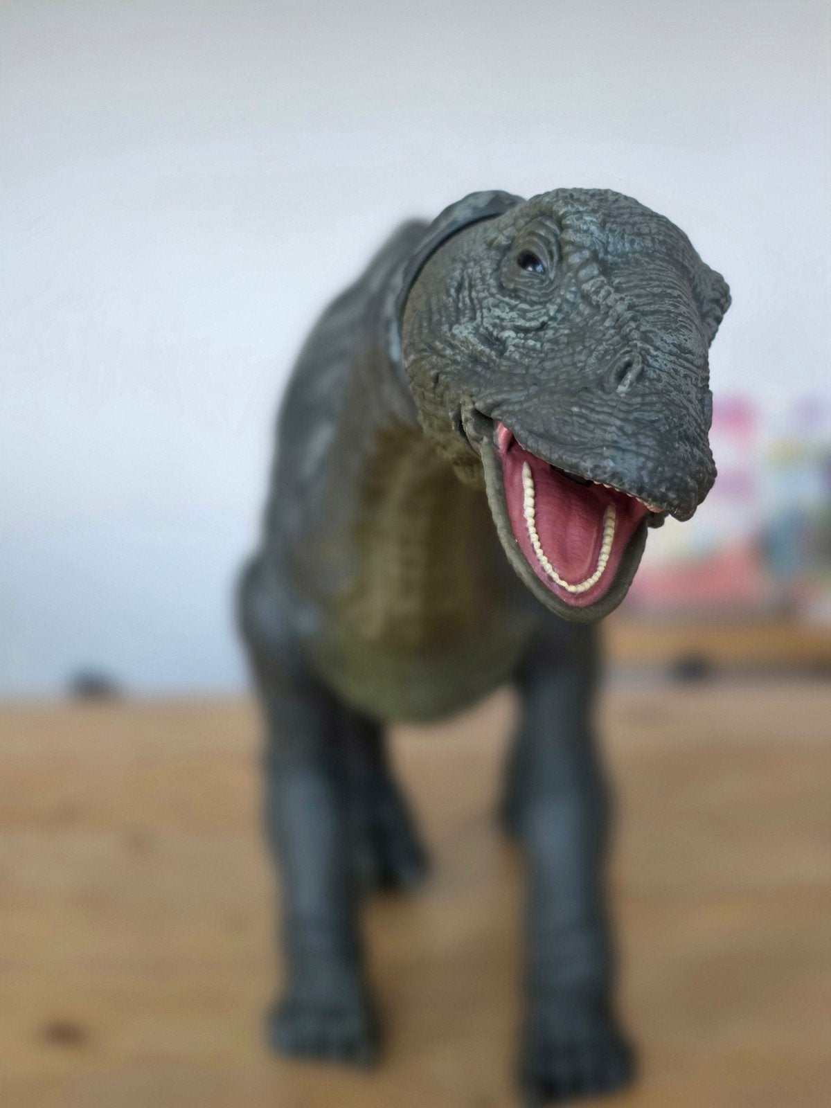 speelgoed dino, Ophalen