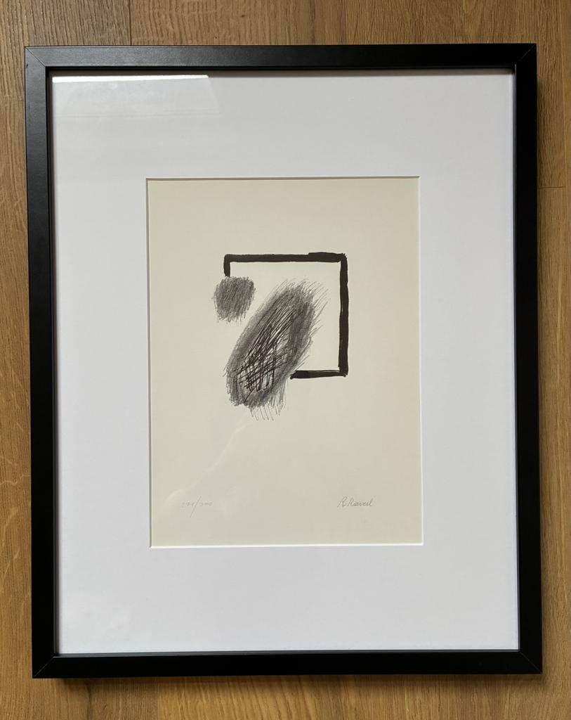 Lithgrafie Roger Raveel, Ophalen of Verzenden