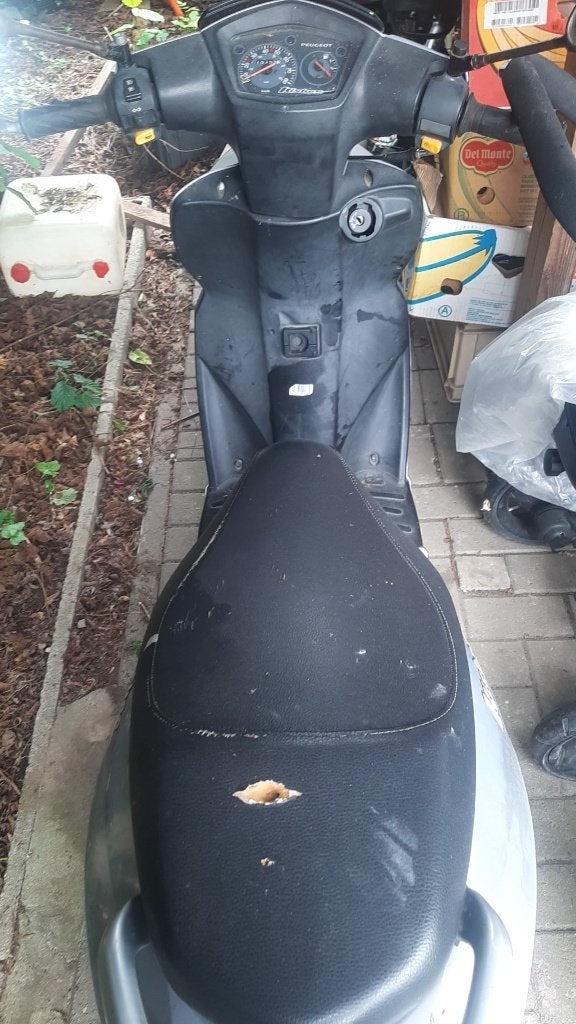Scooter peugeot, Enlèvement, Utilisé