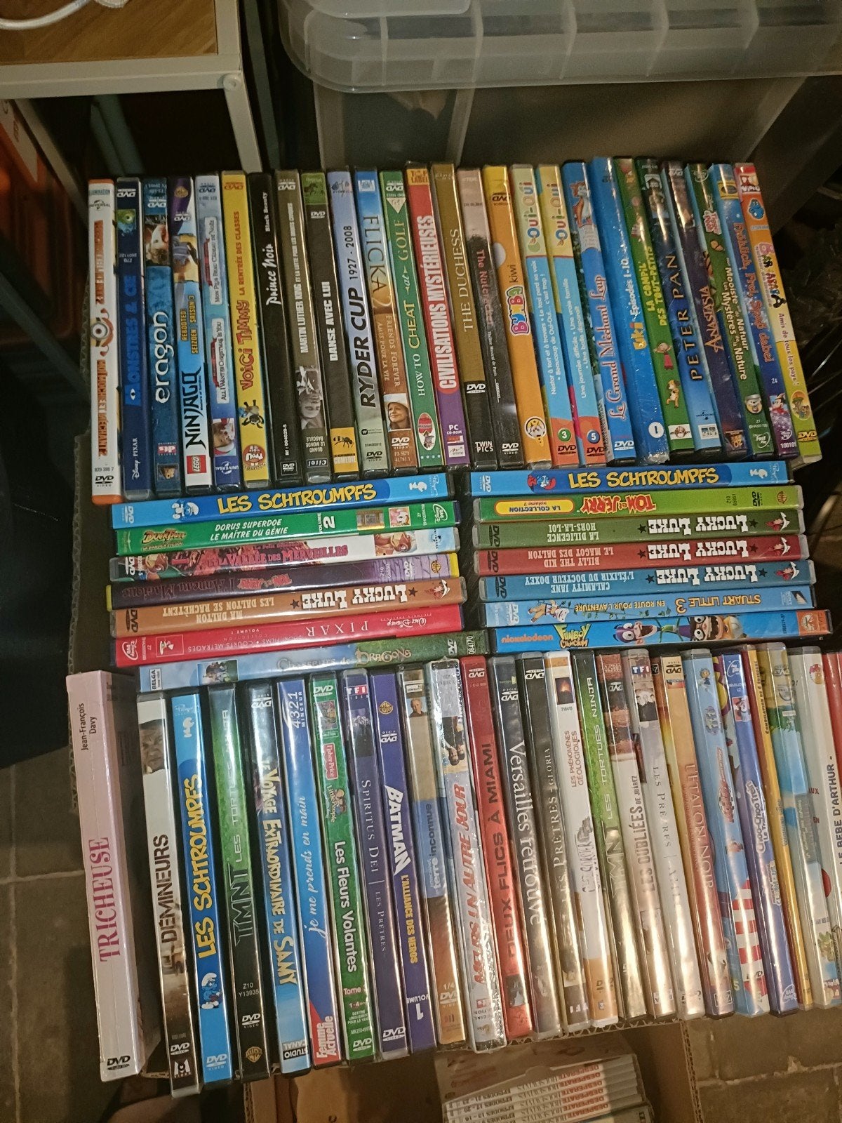 600 CD et DVD - Collection personnelle, Enlèvement
