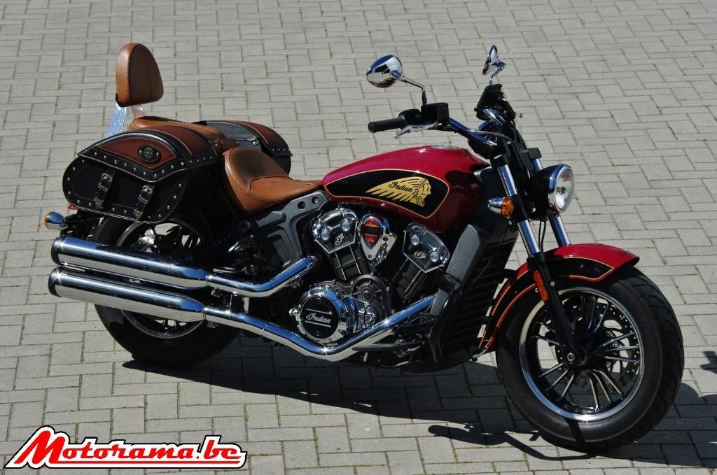Indian Scout - 2020 - 20000 km @Motorama, ABS, Entreprise, Occasion, Plus de 35 kW