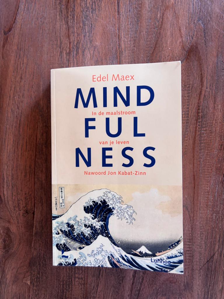Edel Maex - Mindfulness, Livres, Ésotérisme & Spiritualité, Enlèvement ou Envoi, Méditation ou Yoga, Autres types, Comme neuf