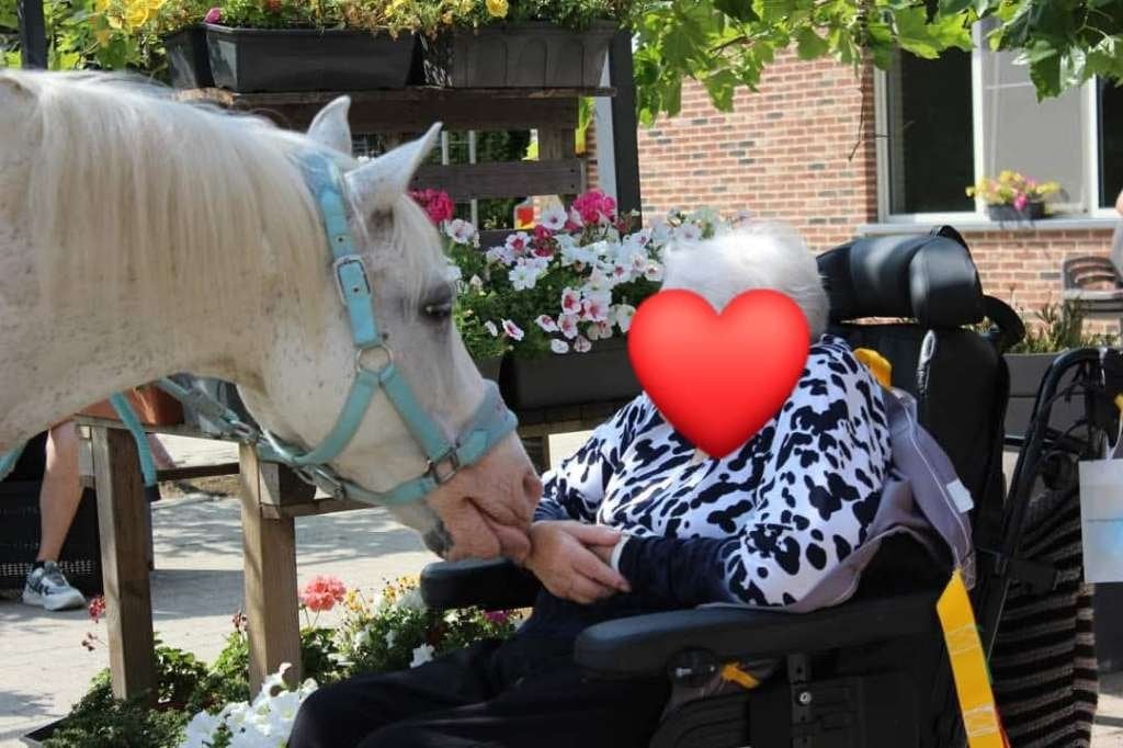 Vrijwilligers vzw Rajdado, Dieren en Toebehoren